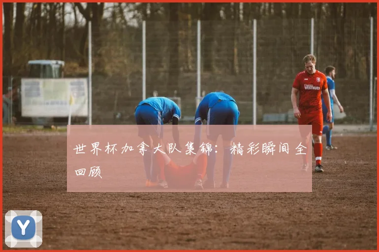世界杯加拿大队集锦：精彩瞬间全回顾