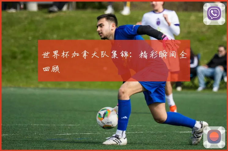 世界杯加拿大队集锦：精彩瞬间全回顾